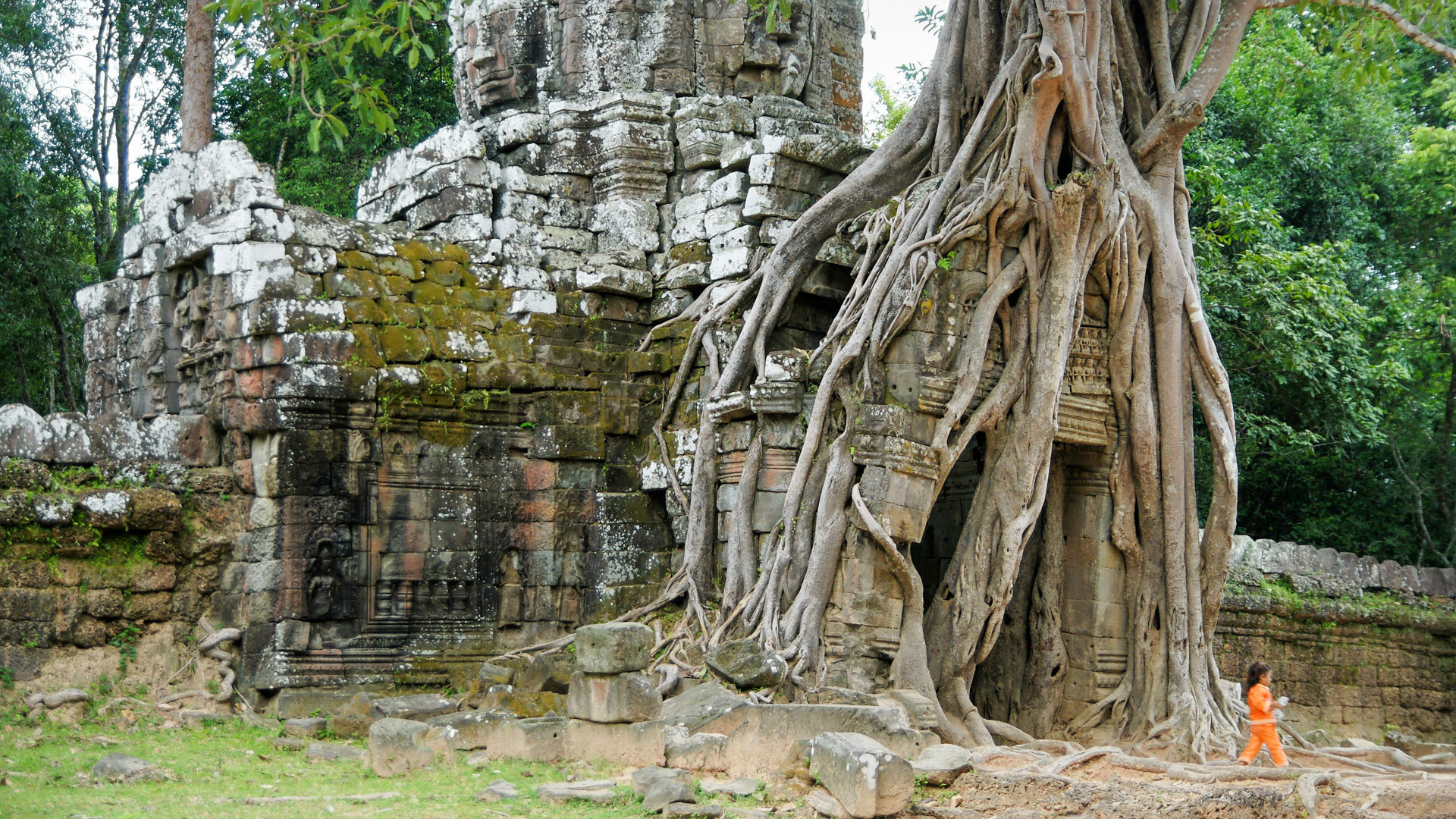 Der Ta Som ("Der Vorfahre Som") ist ein buddhistischer Tempel am östlichen Ende des nordöstlichen Baray. Der Tempel wurde von Jayavarman VII. gegen Ende des zwölften Jahrhunderts errichtet.